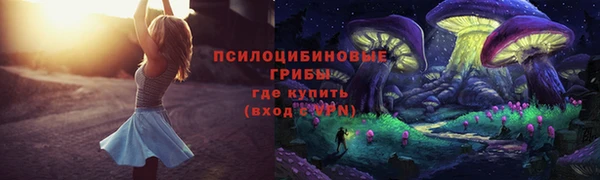 ECSTASY Алексеевка