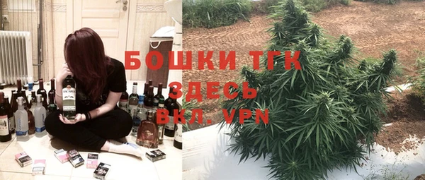 ECSTASY Алексеевка
