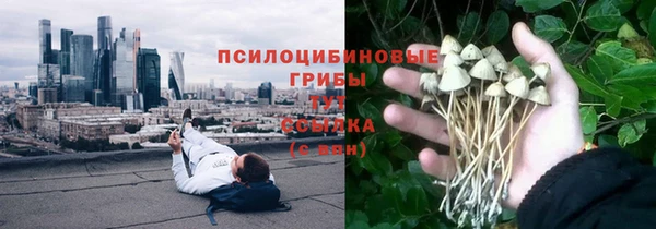 ECSTASY Алексеевка