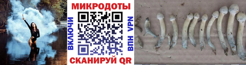где можно купить наркотик  Любань  Галлюциногенные грибы Magic Shrooms 